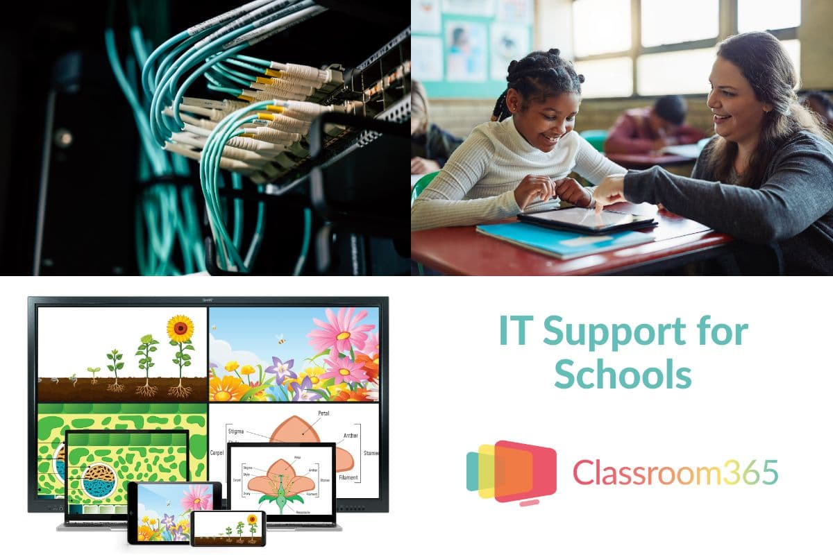 managed it support in schools